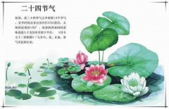 處暑之后注意祛暑，除燥潤(rùn)津的藥膳推薦給家人～