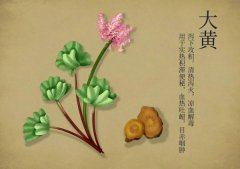 中藥界的CP，十組對(duì)藥應(yīng)用技巧