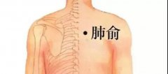 無(wú)論老少，必養(yǎng)此處！做好這幾點(diǎn)，秋冬全家少生病！