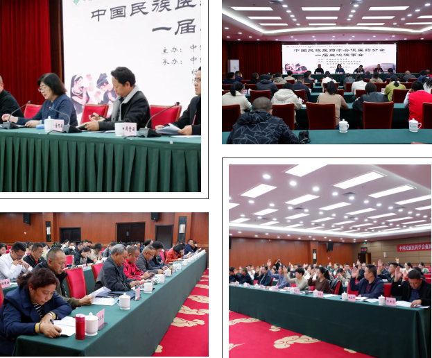 中國(guó)民族醫(yī)藥學(xué)會(huì)佤醫(yī)藥分一屆三次理事會(huì)在臨滄召開